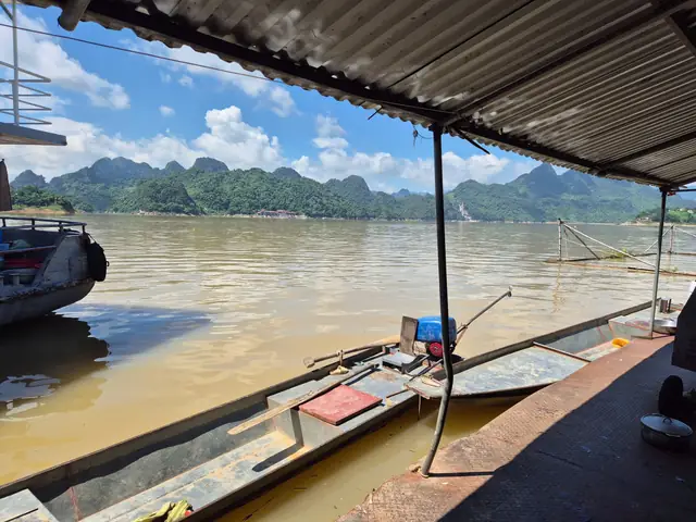 cá ngần sông đà