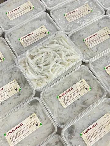 cá ngần sông đà cá ngần sông đà