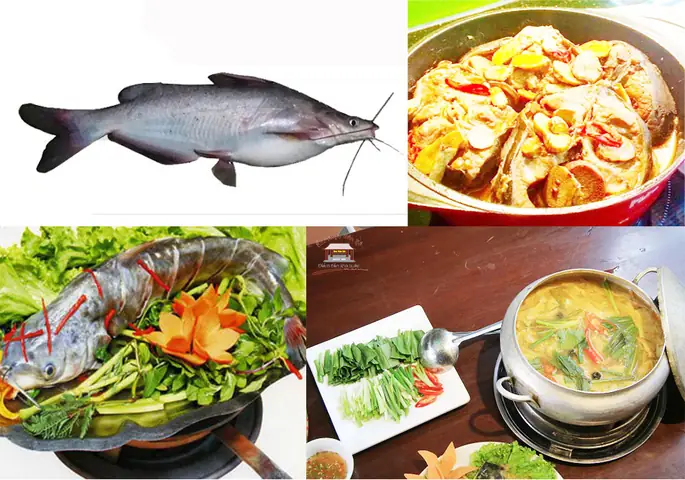 Cá ngạnh sông chế biến món gì ngon?