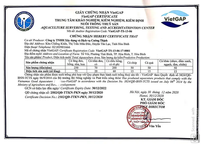 Bất ngờ tác dụng của cá ngạnh sông đối với sức khỏe