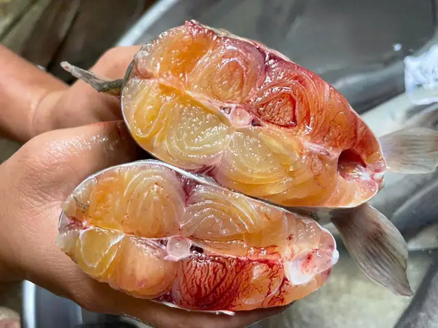 Giàu dinh dưỡng – Tốt cho sức khỏe