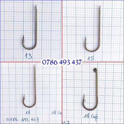 Cá Ngát Nước Mặn: Đặc Điểm, Phân Bố và Cách Phân Biệt