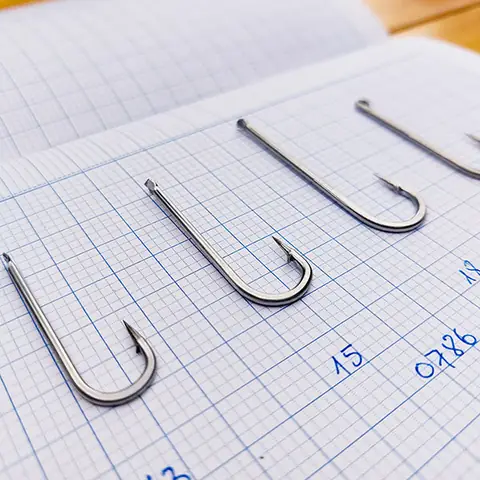 Cá Ngát Nước Mặn: Đặc Điểm, Phân Bố và Cách Phân Biệt
