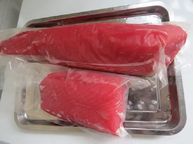 cá ngừ đại dương