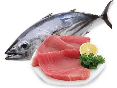 Cá Ngừ Đại Dương Bình Định: Từ Đặc Điểm Đến Giá Trị & Cách Chế Biến