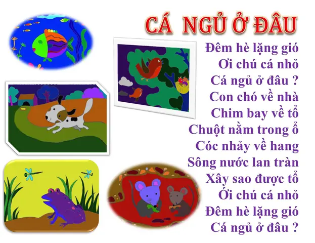 cá ngủ ở đâu