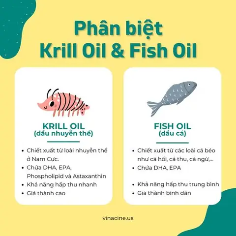 Cá ngừ sống ở đâu? Khám phá môi trường sống và phân bố