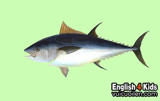 Xem thêm một số con vật khác trong tiếng anh
