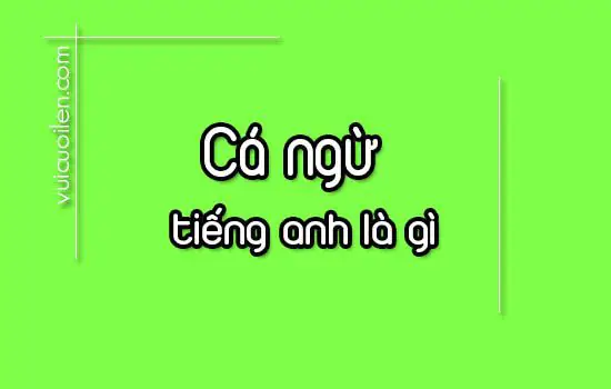 Cá ngừ tiếng anh là gì