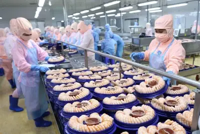 Cá Ngừ Vây Dài: Khám Phá Đặc Điểm và Tầm Quan Trọng Toàn Cầu