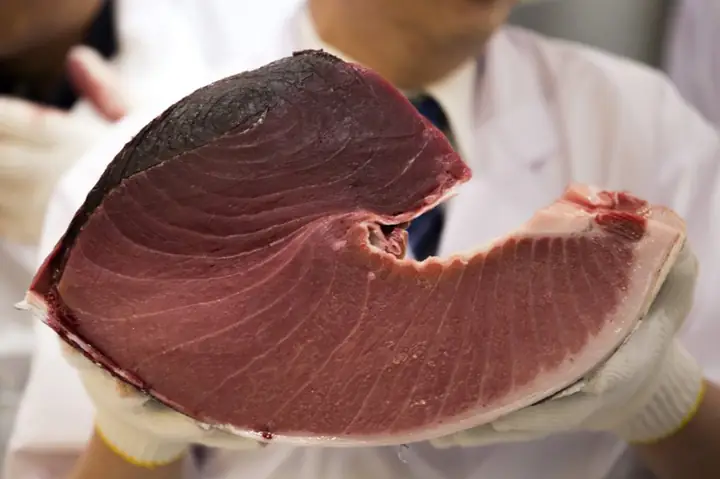 cá ngừ vây xanh