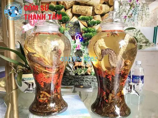 cá ngựa có tác dụng gì