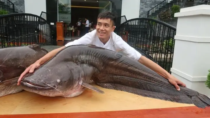 Cá nheo khác cá trê như thế nào: Hướng dẫn phân biệt chi tiết