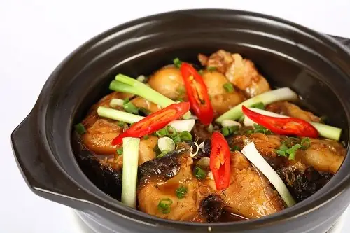Cá Nheo Sống Ở Đâu? Môi Trường, Đặc Điểm & Cách Nuôi Chi Tiết Cá Nheo Sống Ở Đâu? Môi Trường, Đặc Điểm & Cách Nuôi Chi Tiết