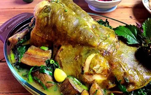 Cá Nheo Sống Ở Đâu? Môi Trường, Đặc Điểm & Cách Nuôi Chi Tiết Cá Nheo Sống Ở Đâu? Môi Trường, Đặc Điểm & Cách Nuôi Chi Tiết
