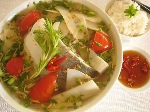 Cá Nheo Sống Ở Đâu? Môi Trường, Đặc Điểm & Cách Nuôi Chi Tiết Cá Nheo Sống Ở Đâu? Môi Trường, Đặc Điểm & Cách Nuôi Chi Tiết