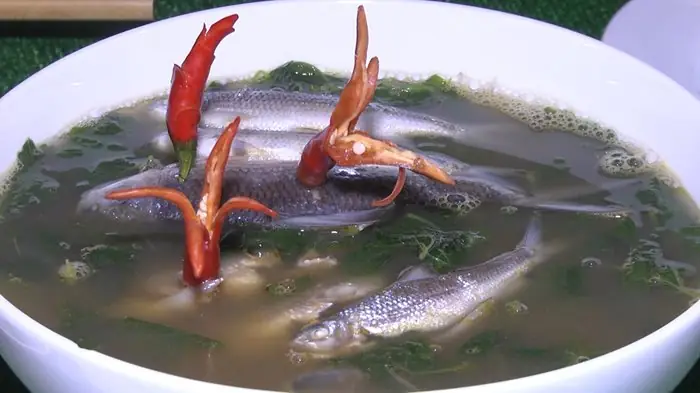 Cá Niên Là Cá Gì? Đặc Điểm, Môi Trường Sống Và Giá Trị