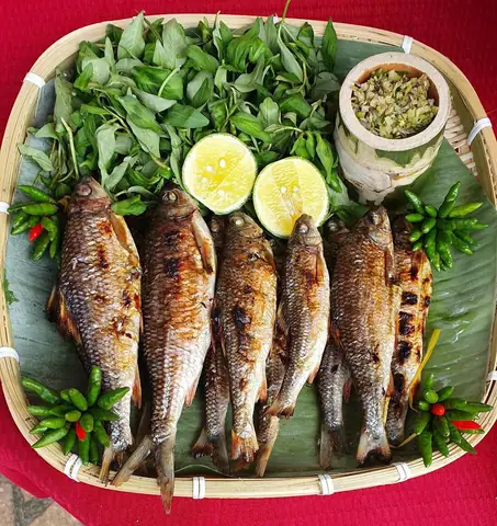Hướng Dẫn Chi Tiết Về Cá Niên Quảng Ngãi: Đặc Sản Và Món Ngon