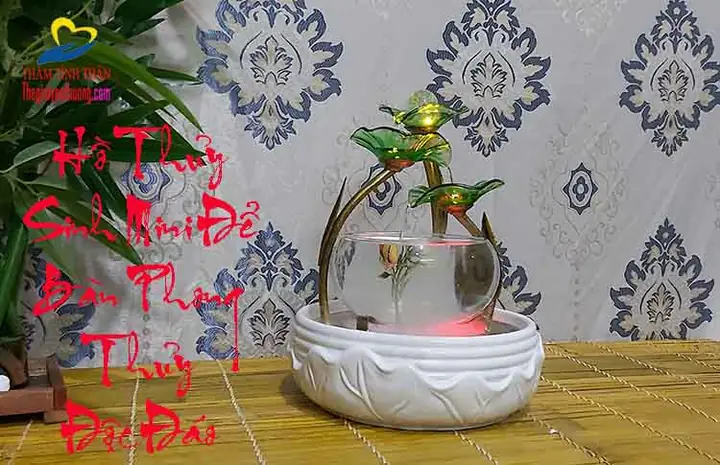 Cá Nuôi Hồ Thủy Sinh Mini Nào Phù Hợp Và Cách Chăm Sóc? Cá Nuôi Hồ Thủy Sinh Mini Nào Phù Hợp Và Cách Chăm Sóc?