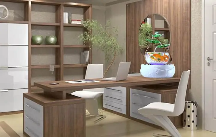 Cá Nuôi Hồ Thủy Sinh Mini Nào Phù Hợp Và Cách Chăm Sóc? Cá Nuôi Hồ Thủy Sinh Mini Nào Phù Hợp Và Cách Chăm Sóc?