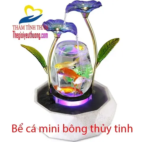 Cá Nuôi Hồ Thủy Sinh Mini Nào Phù Hợp Và Cách Chăm Sóc? Cá Nuôi Hồ Thủy Sinh Mini Nào Phù Hợp Và Cách Chăm Sóc?