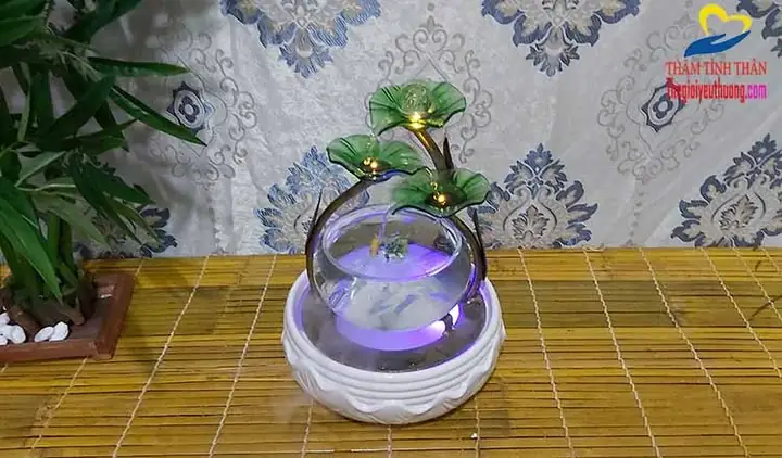 Cá Nuôi Hồ Thủy Sinh Mini Nào Phù Hợp Và Cách Chăm Sóc? Cá Nuôi Hồ Thủy Sinh Mini Nào Phù Hợp Và Cách Chăm Sóc?