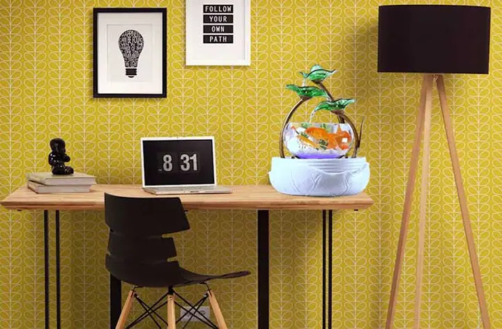 Cá Nuôi Hồ Thủy Sinh Mini Nào Phù Hợp Và Cách Chăm Sóc? Cá Nuôi Hồ Thủy Sinh Mini Nào Phù Hợp Và Cách Chăm Sóc?