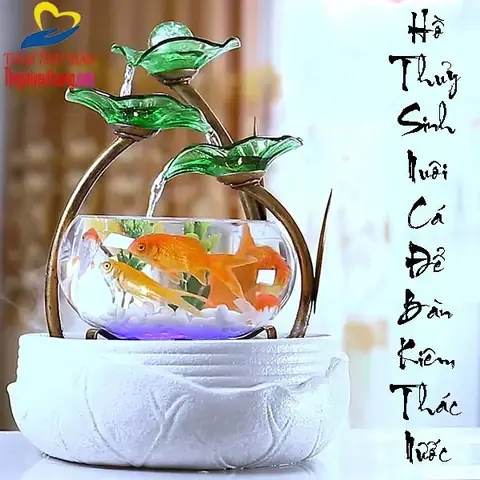 Cá Nuôi Hồ Thủy Sinh Mini Nào Phù Hợp Và Cách Chăm Sóc?