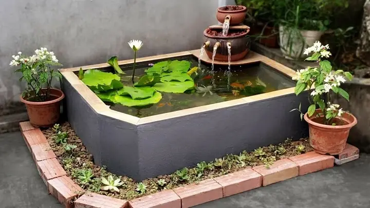 Tại Sao Cá Nuôi Trong Bể Xi Măng Bị Chết Và Cách Khắc Phục Hiệu Quả?
