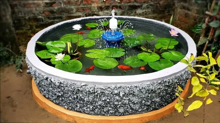 Tại Sao Cá Nuôi Trong Bể Xi Măng Bị Chết Và Cách Khắc Phục Hiệu Quả?