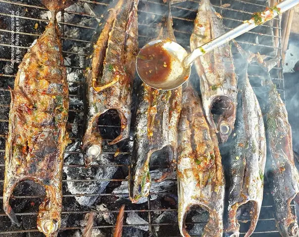 Cá Ồ Là Cá Gì? Khám Phá Toàn Diện Về Loại Cá Biển Này