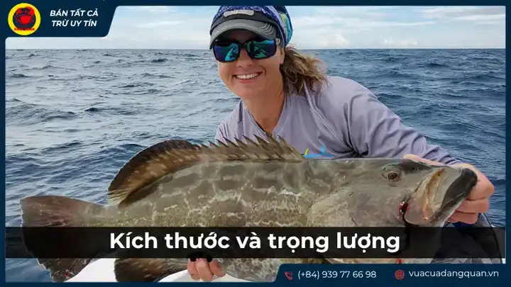 cá ông là cá gì