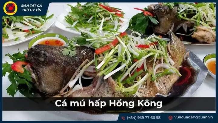 cá ông là cá gì