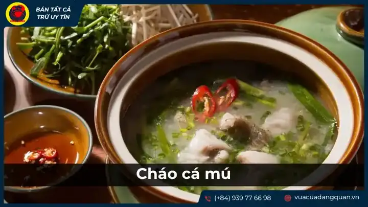 cá ông là cá gì