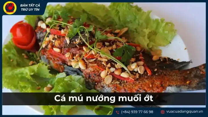 cá ông là cá gì