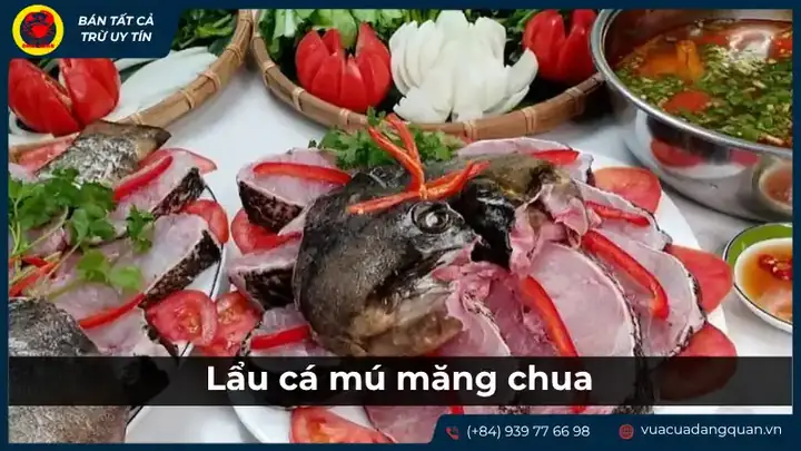 cá ông là cá gì