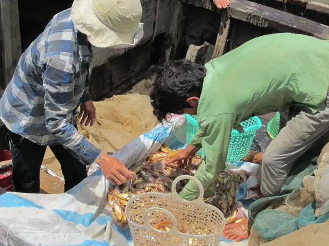 Nơi Sinh Sống Của Cá Phèn: Môi Trường Tự Nhiên