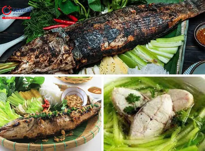 Cá Quả và Cá Lóc: Chúng Có Phải Là Một Không?