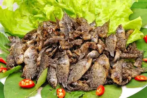 cá rô đồng ăn gì