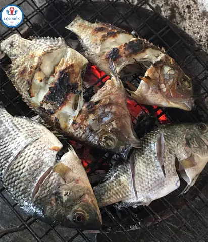 CÃ¡ch lá»±a cÃ¡ rÃ´ phi tÆ°Æ¡i ngon (phÃ¢n biá»t cÃ¡ tá»± nhiÃªn vÃ  cÃ¡ mua)