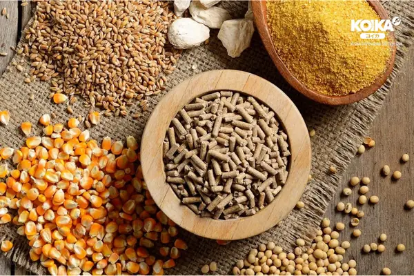 Cá Rồng Có Ăn Thịt Bò Được Không? Hướng Dẫn An Toàn Cho Chủ Nuôi