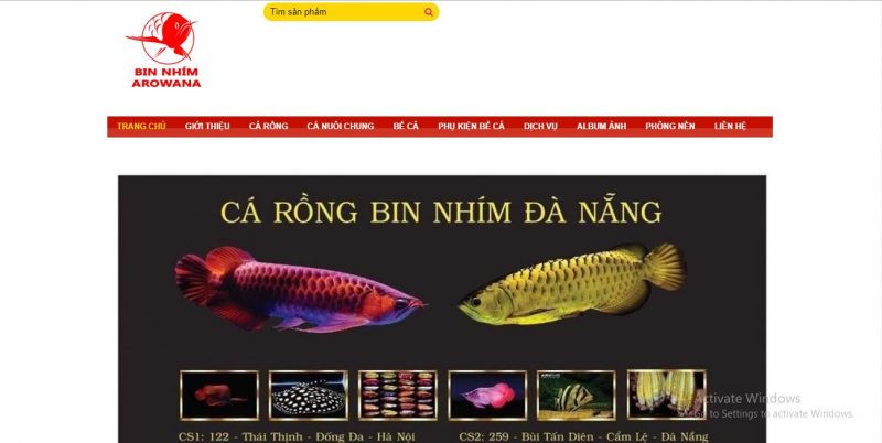 Cá Rồng Bin Nhím – địa chỉ chuyên cung cấp các loại cá Rồng đẹp và uy tín