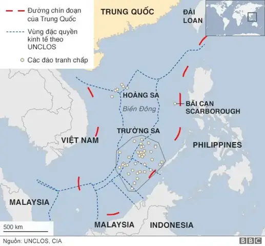 Cá Rồng Nam Dương: Tuyệt Mỹ & Hướng Dẫn Nuôi Dưỡng Chi Tiết