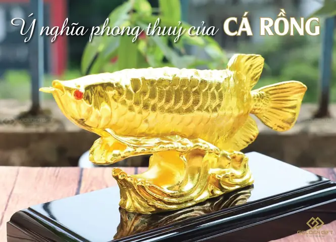 Cá Rồng Phong Thủy: Giải Mã Ý Nghĩa & Hướng Dẫn Nuôi Chi Tiết