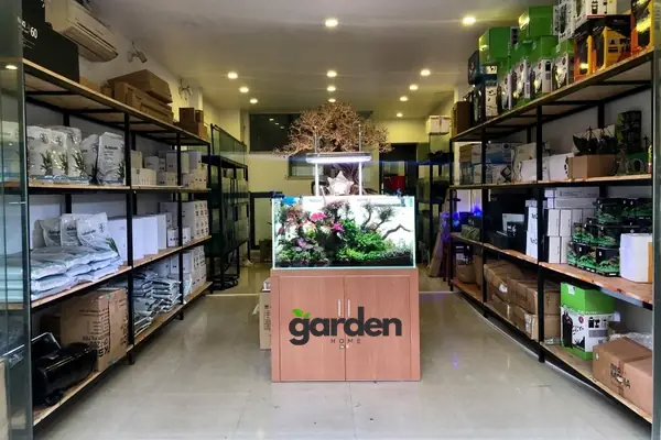 Khám Phá Cá Rồng Tự Nhiên: Nguồn Gốc, Môi Trường Sống và Tập Tính