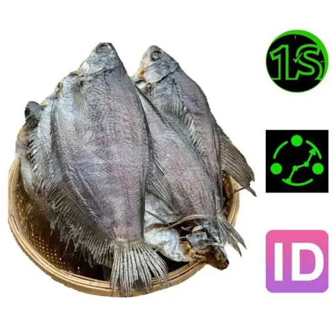cá sặc ăn gì