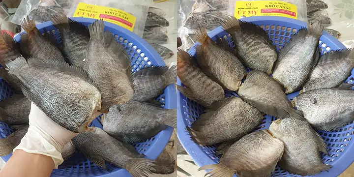 Khám phá Cá Sặc Miền Tây: Đặc điểm, giá trị và ẩm thực độc đáo