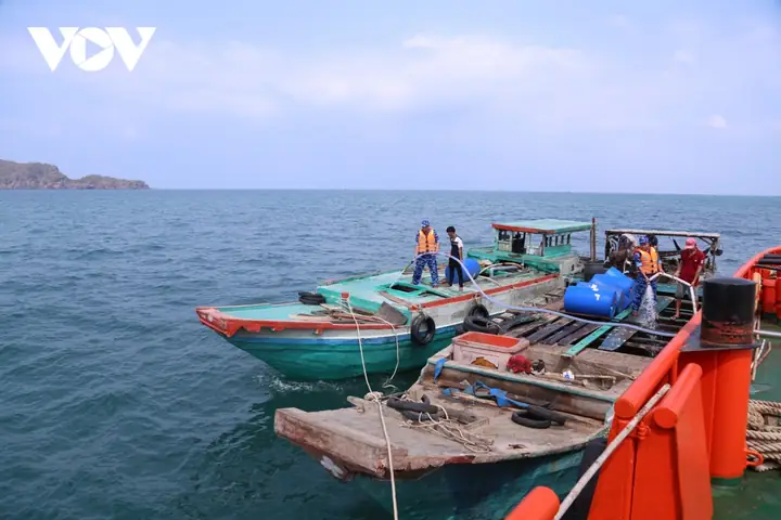 Cá Sát Nước Ngọt: Vai Trò Sinh Thái Và Nguy Cơ Từ Chuỗi Thức Ăn