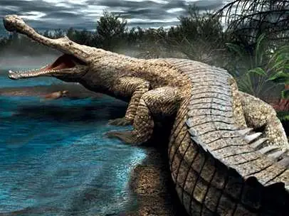 Cá Sấu Dài 12m: Khám Phá Sự Thật Về Kích Thước Khổng Lồ Của Chúa Tể Đầm Lầy