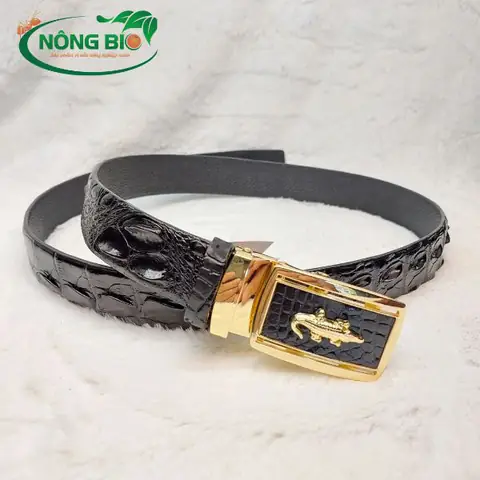 cá sấu đẻ con hay đẻ trứng